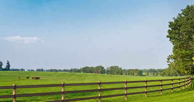 How MIGA's Graphene Conductive Layer Changes Electric Fencing