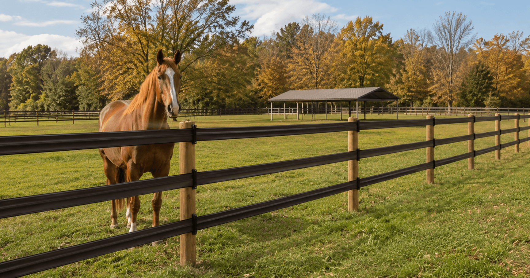 How to Build a Safer Horse Paddock: The Complete Guide to Flexible Fencing