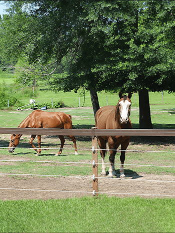 Private Paddocks