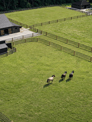 Horse Farms